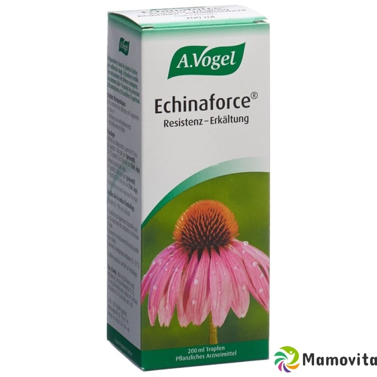 A.Vogel Echinaforce resistance cold drops Fl 200 ml buy online