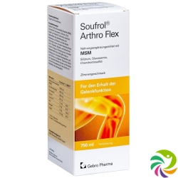 Soufrol Arthro Flex solution bottle 750ml