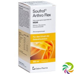 Soufrol Arthro Flex solution bottle 300ml