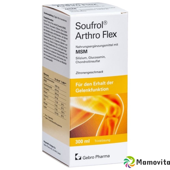 Soufrol Arthro Flex solution bottle 300ml buy online