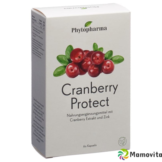 Phytopharma Cranberry Protect 60 capsules buy online