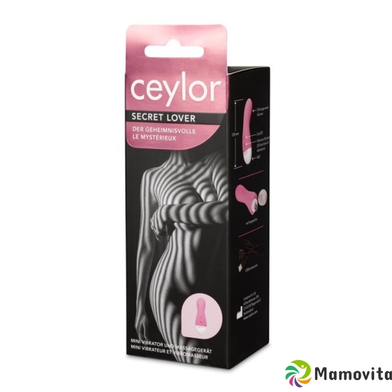 Ceylor Secret Lover Mini Vibrator buy online