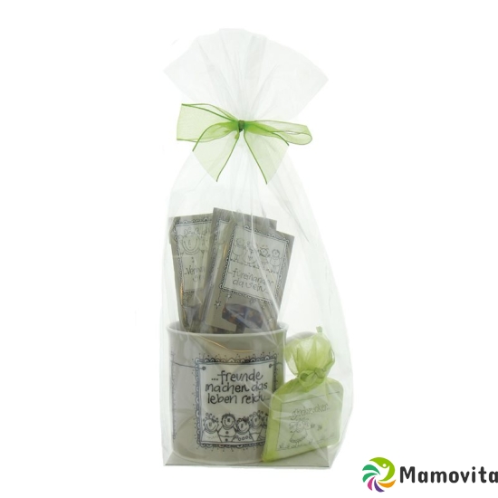 Herboristeria Wohlfühl-geschenkset "freunde" buy online