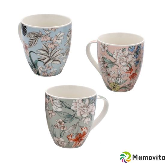 Herboristeria Jumbo Cup Flora Assorted buy online