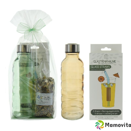 Herboristeria Geschenkset Ice Tea Flasche U Trinkh buy online