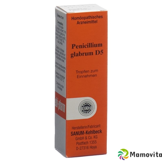 Sanum Penicillium Glabrum Tropfen D 5 Flasche 10ml buy online