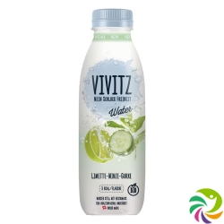 Vivitz Water Limette-minze-gurke 6 Flasche 0.5L