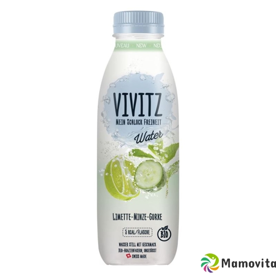 Vivitz Water Limette-minze-gurke 6 Flasche 0.5L buy online