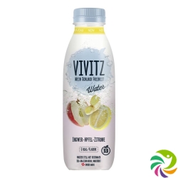 Vivitz Water Ingwer-apfel-zitrone 6 Flasche 0.5L