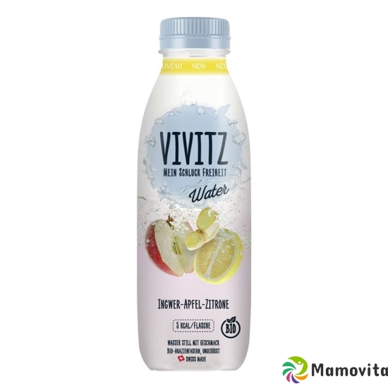 Vivitz Water Ingwer-apfel-zitrone 6 Flasche 0.5L buy online