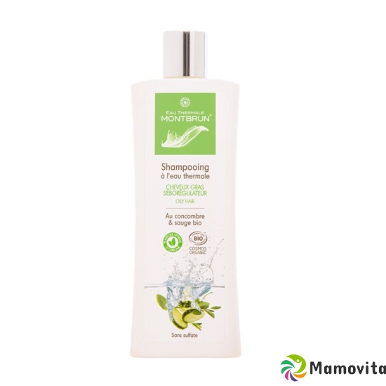 Montbrun Shampoo Fettiges Haar Seboreg Bio 250ml buy online