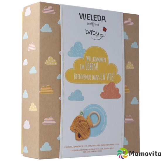 Weleda baby care gift set 2020 buy online