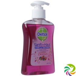 Dettol Pump-Seife Gardenberries 250ml