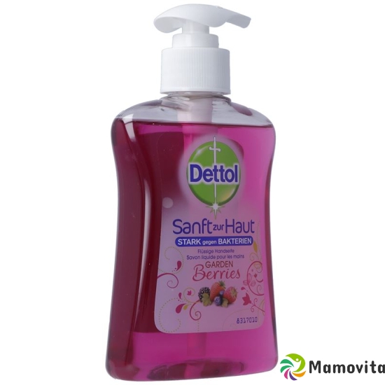 Dettol Pump-Seife Gardenberries 250ml buy online