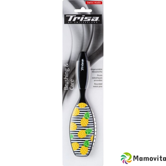 Trisa Basic Fashion Brushing Small (neu) buy online