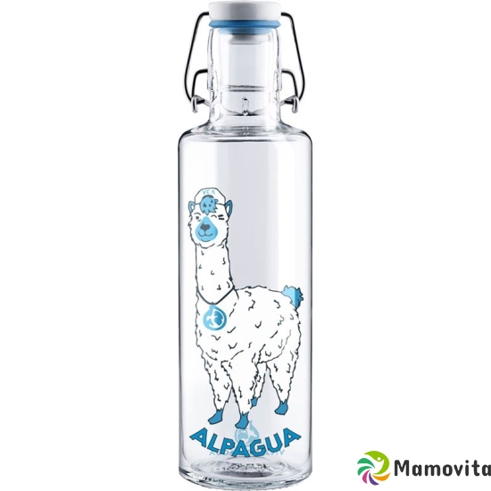 Soulbottles Alpagua drinking bottle 0.6L buy online