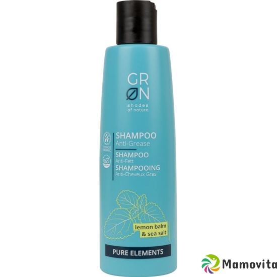 Grn Pure Shampoo Anti-Fett Zitronenm&meersalz 250ml buy online