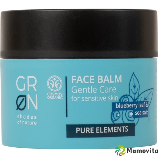 Grn Pure Gesichtbalsam Sens Haut Blaub&meers 50ml buy online