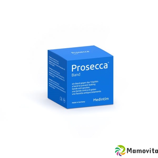 Prosecca ribbon buy online