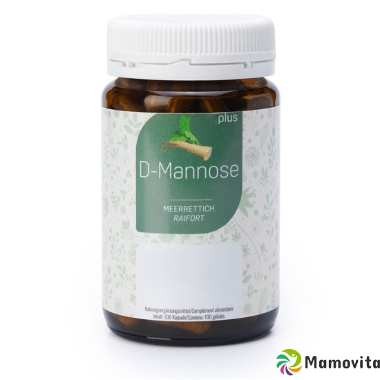 Felan D-mannose Plus Kapseln Dose 100 Stück buy online