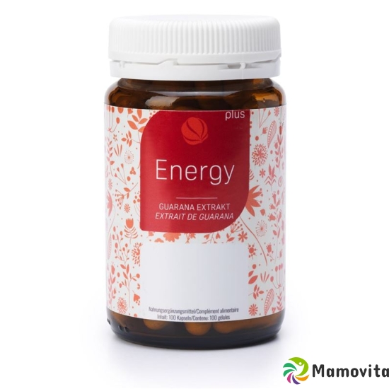 Felan Energy Plus Kapseln Dose 100 Stück buy online