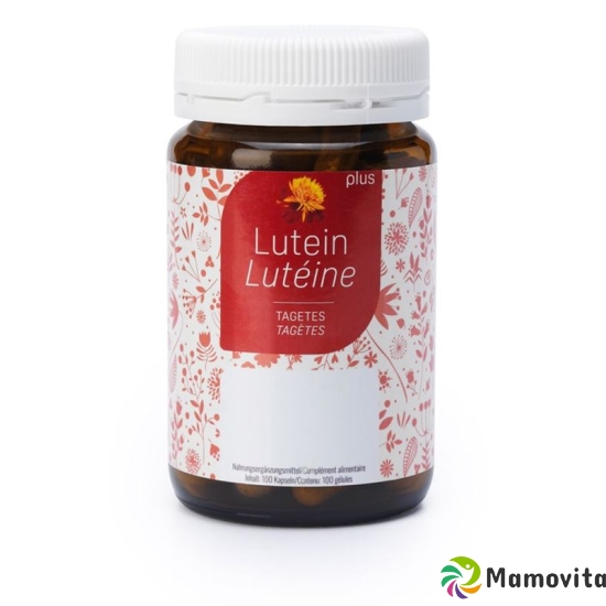 Felan Lutein Plus Kapseln Dose 100 Stück buy online