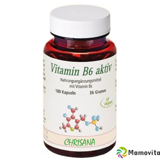 Chrisana Vitamin B6 Aktiv Kapseln Dose 180 Stück buy online