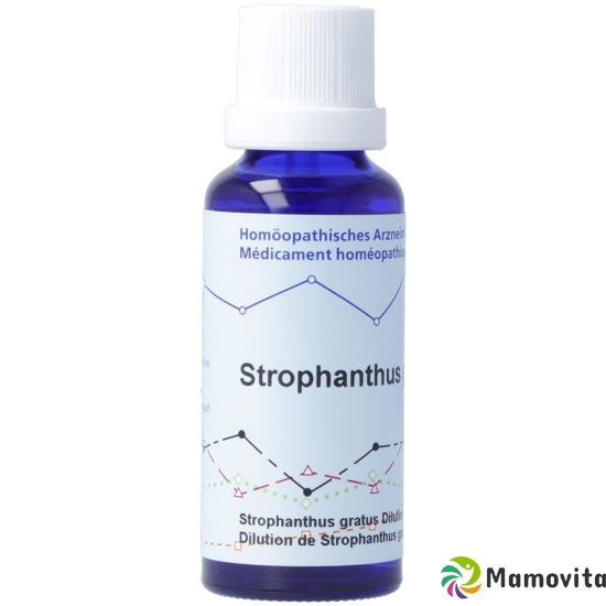 Phytomed Strophanthus Gratus D 4 Mft Flasche 30ml buy online