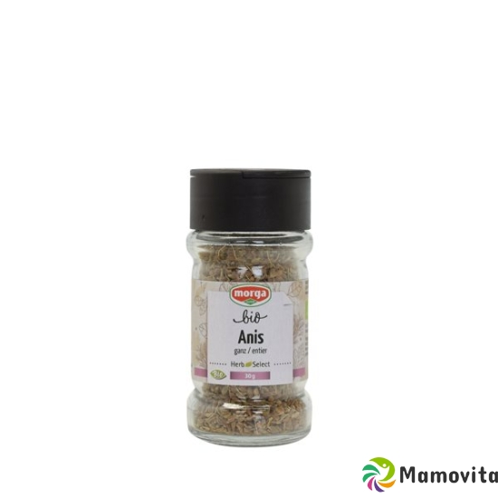 Morga Gewürz Anis Ganz Bio Glas 30g buy online