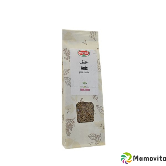 Morga Gewürz Anis Ganz Bio Nfb 45g buy online