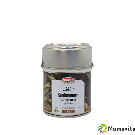 Morga Gewürz Kardamomen Ganz Bio Dose 40g buy online