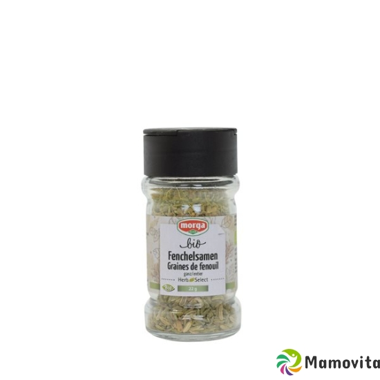 Morga Gewürz Fenchelsamen Ganz Bio Glas 30g buy online