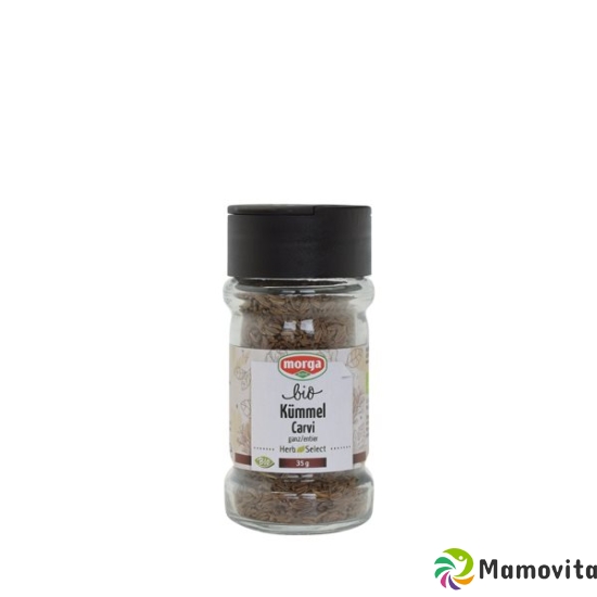 Morga Gewürz Kümmel Ganz Bio Glas 35g buy online