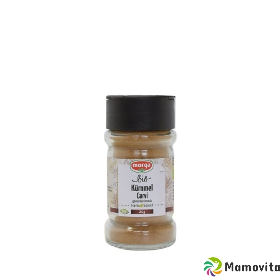 Morga Gewürz Kümmel Gemahlen Bio Glas 26g buy online