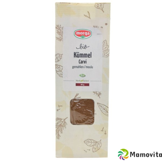 Morga Gewürz Kümmel Gemahlen Bio Nfb 40g buy online