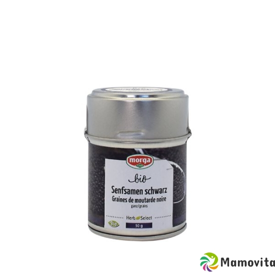 Morga Gewürz Senf Schwarz Ganz Bio 75g buy online