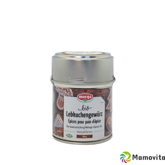 Morga Gewürz Lebkuchengewürz Bio Dose 30g buy online