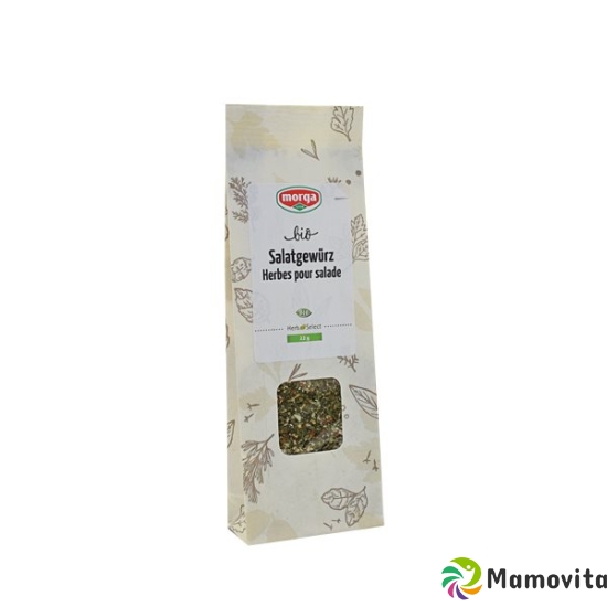 Morga Gewürz Salat Bio Nfb 22g buy online