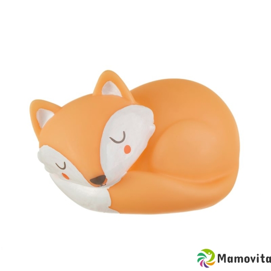 Herboristeria night light fox buy online