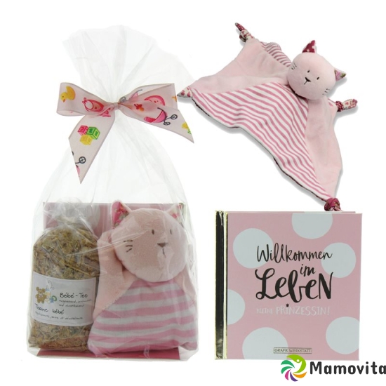 Herboristeria Geschenk-Bueechli Willkommen Prinzes buy online