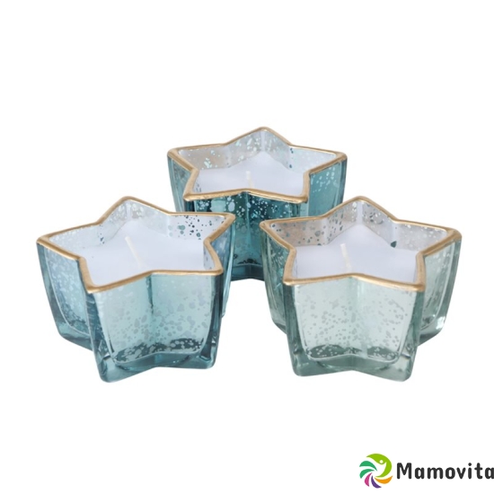 Herboristeria Lantern with Candle Star Mint buy online