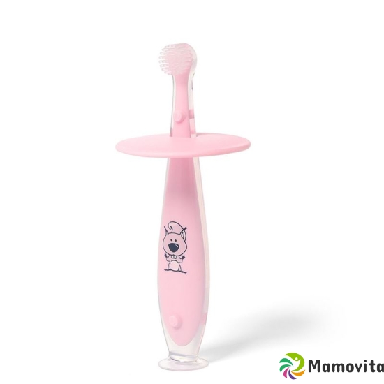 Babyono toothbrush 6m+ with suction cup buy online