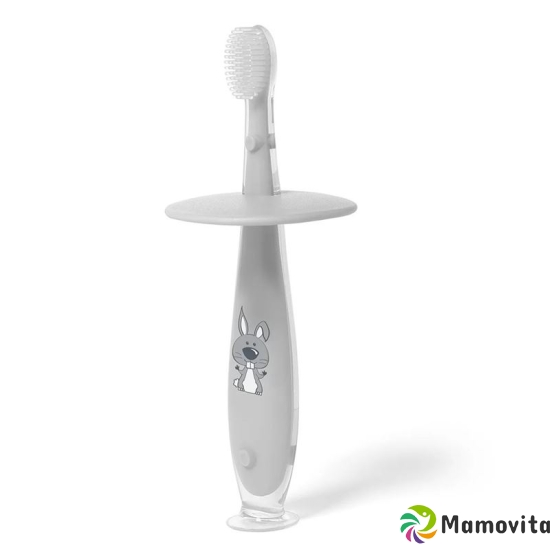 Babyono toothbrush 12m+ with suction cup buy online