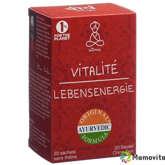 Atma Lebensenergie Beutel 20 Stück buy online