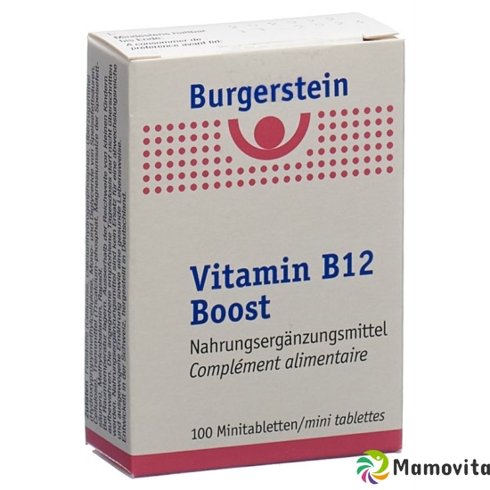 Burgerstein Vitamin B12 Boost Minitabletten 100 pieces buy online