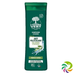 L'Arbre Vert Öko Shampoo Mann Anti-Schup Fr 250 M