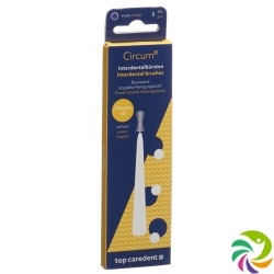 Top Caredent Circum 10 Int Bürsten Violett 5 Stück