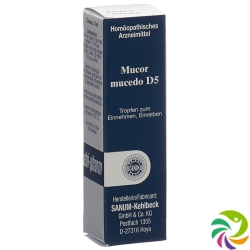 Sanum Mucor Mucedo Tropfen D 5 Flasche 10ml