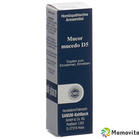 Sanum Mucor Mucedo Tropfen D 5 Flasche 10ml buy online