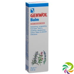 Gehwol Balsam Trockene Haut E/f Tube 75ml